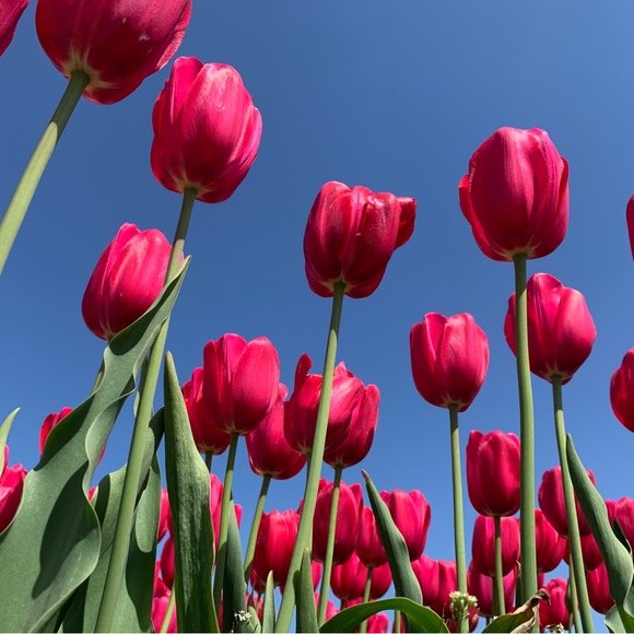 Meet your Posher, Shawn - Picture 2 of 3